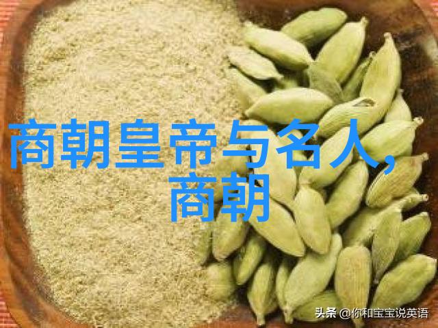 在中国历史书籍中如何描述和记载了开国者的辉煌成就