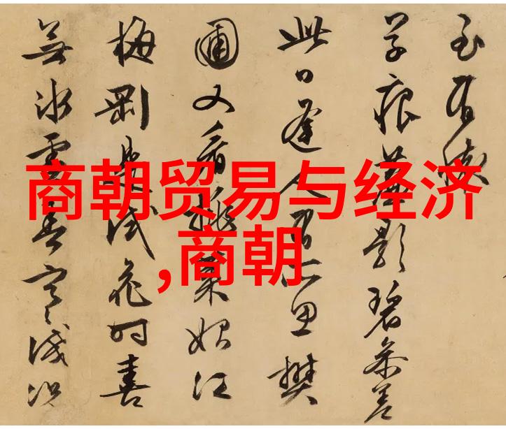明清比较从垃圾到历史的深度