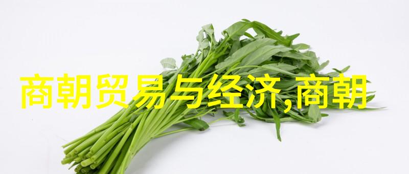 宋儒学思想及其在当时社会中的作用