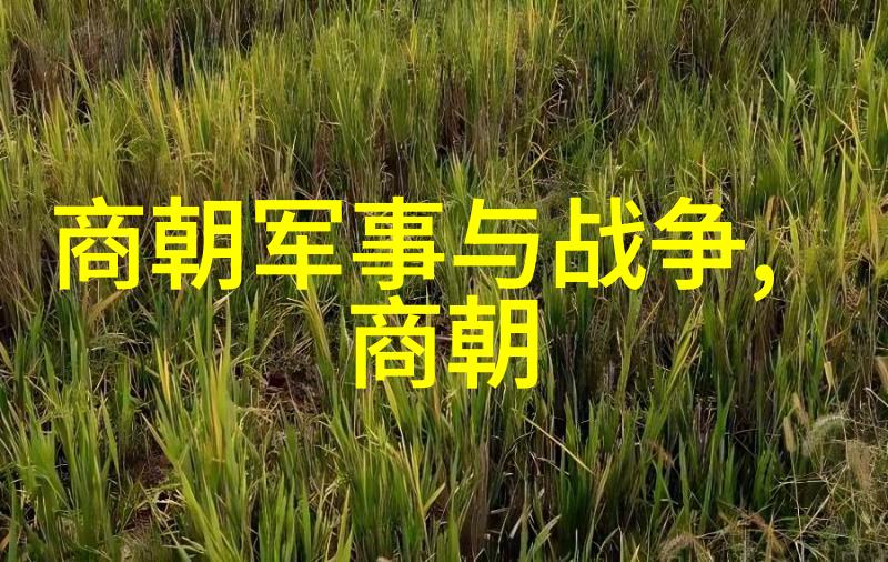 战国时期名人之首秦穆公公元前682年至公元前621年