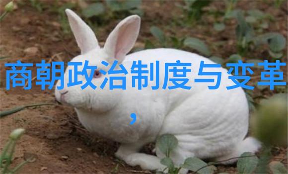 朱青演员王佩瑜的丈夫如同夜空中的北极星璀璨而稳定