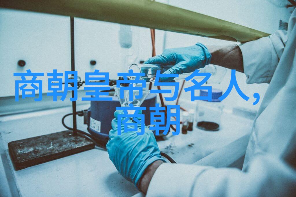 明朝繁华盛世明朝的繁荣与辉煌