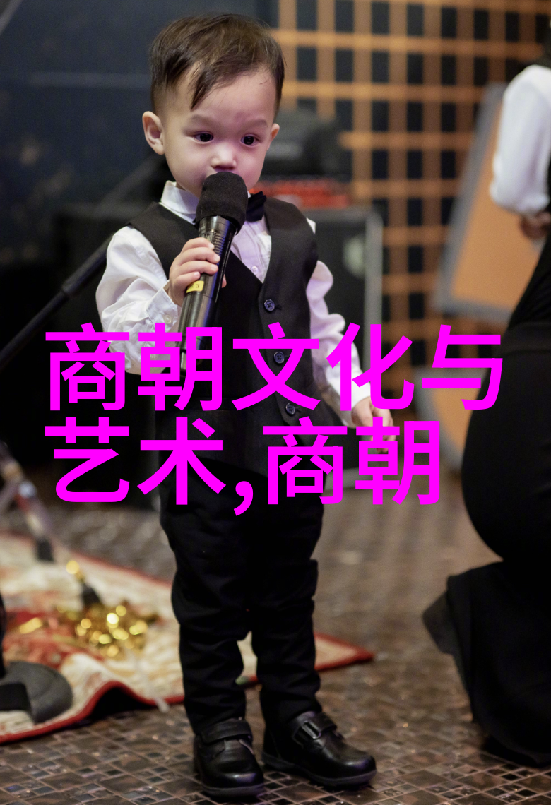 红楼梦中的黑暗面贾政之死背后的权力斗争