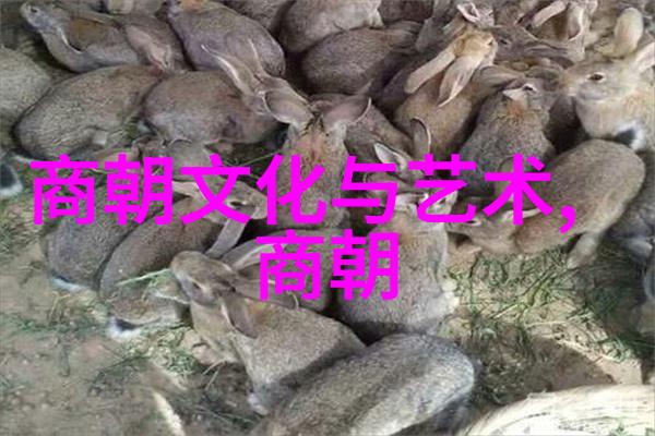 中国神话故事全集传颂千古的神秘篇章