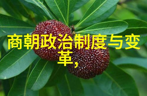 历史中那些令人发指的专制者及其统治时代评析