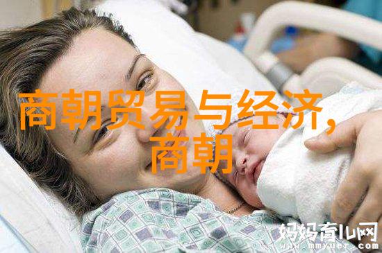 朱祁镇明朝战神的光芒