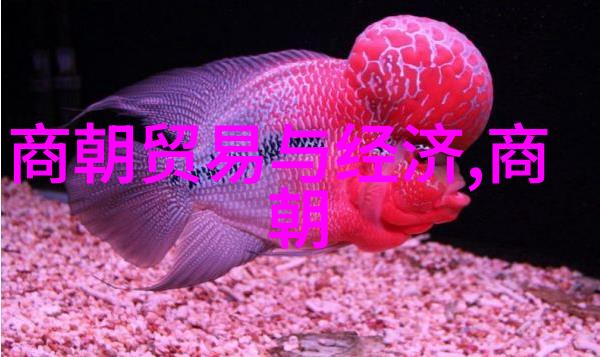 历史纬度-元朝完了是明朝一段政治更迭的沉浮史