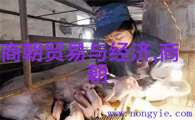 宋朝第一美女遗失的芳容与千古之谜