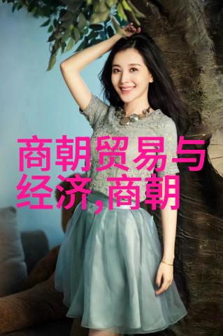 宣德年间的经济发展与社会变革