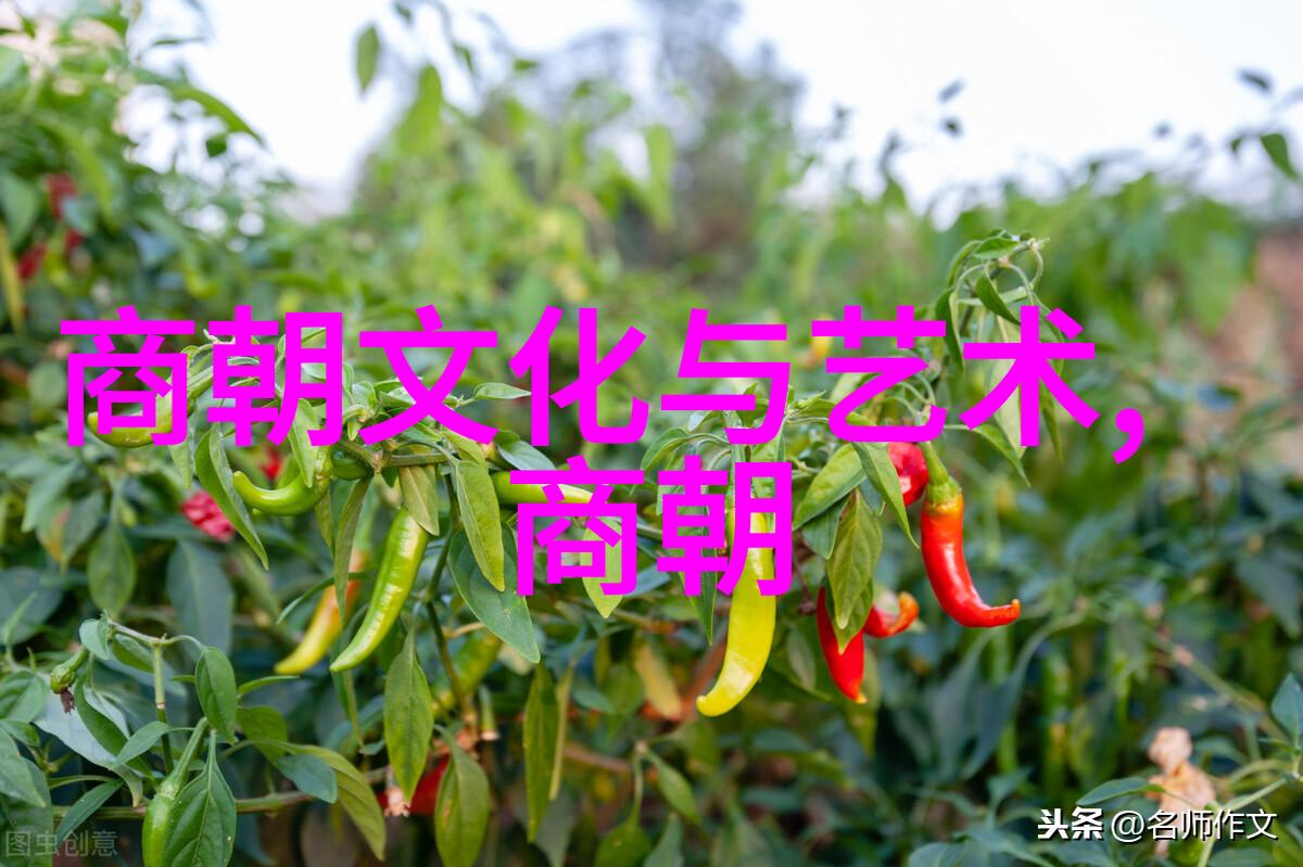 周朝名人姬静简介