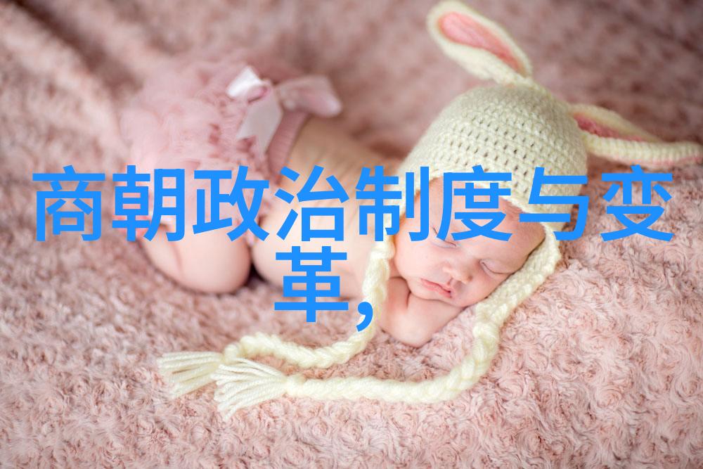 人口下降资源枯竭环境因素对元朝命运的影响探讨