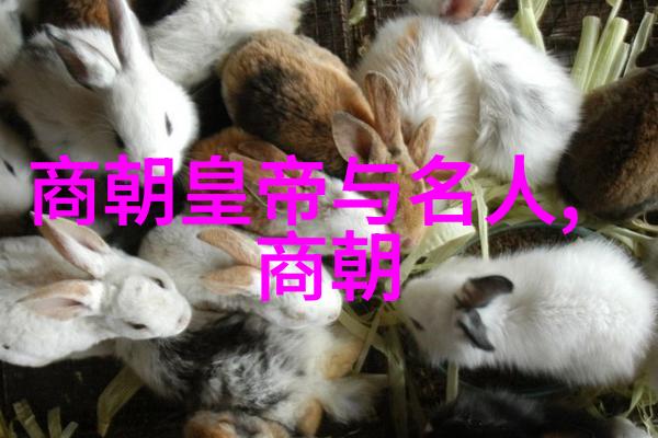 我国历史朝代 - 从黄帝至清末历代帝王的辉煌与衰落