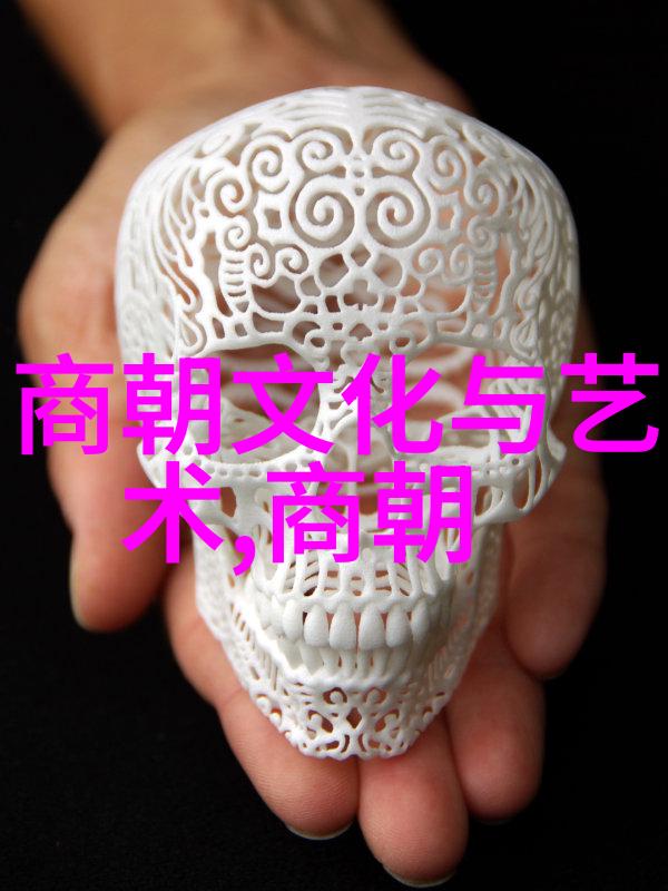 元朝历史典故简短-忽必烈征服的最后一战重读元朝的辉煌与挑战