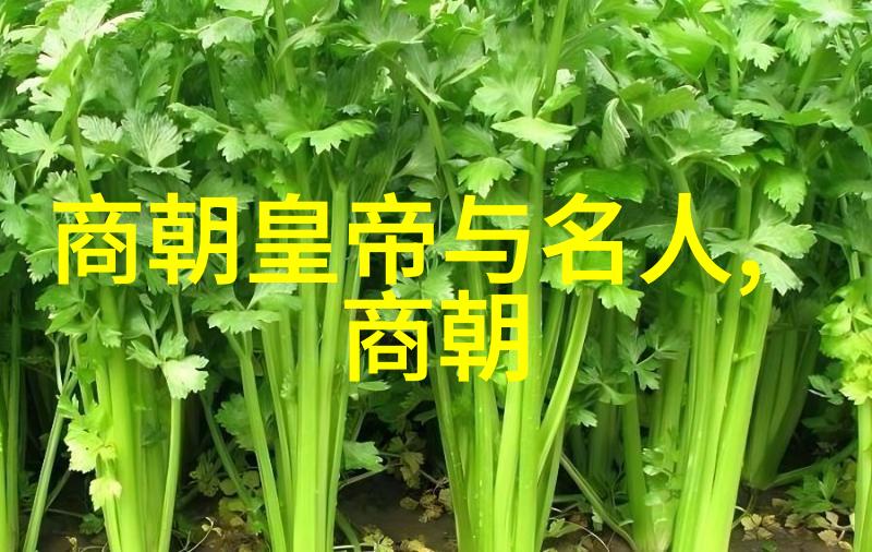 明朝历史讲解视频揭秘万历崇祯年间的政治斗争与文化盛世