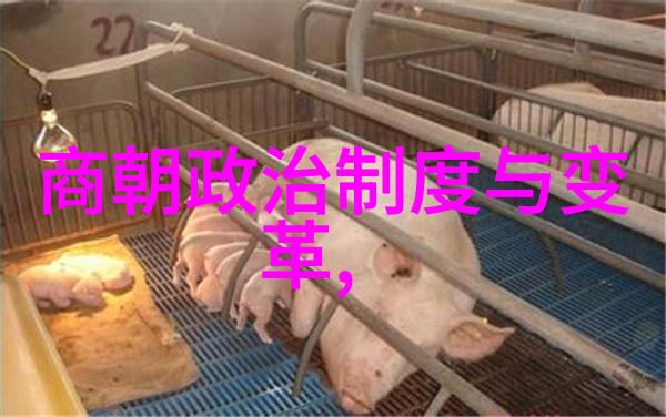 朝阳沟豫剧全集闪耀舞台葛桂璋葛草旺丑行演绎精彩