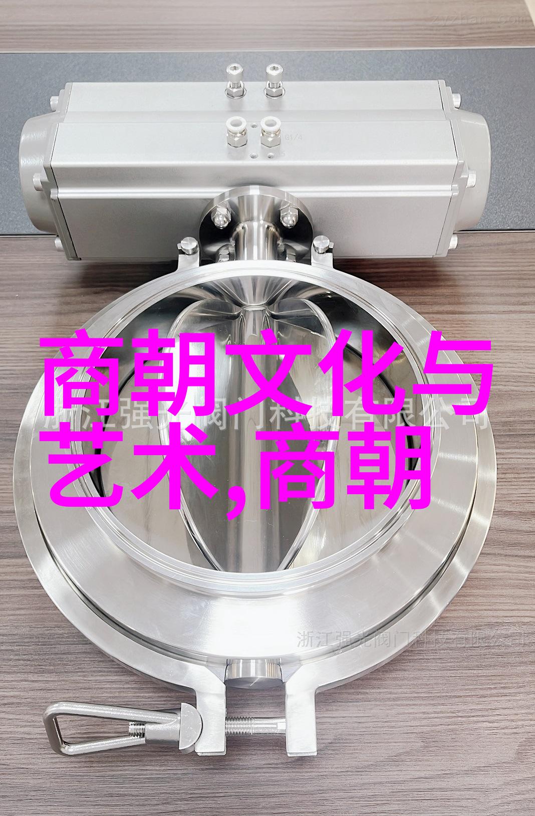 明朝历史讲解视频揭秘万历崇祯时期的君臣纷争与国运衰败