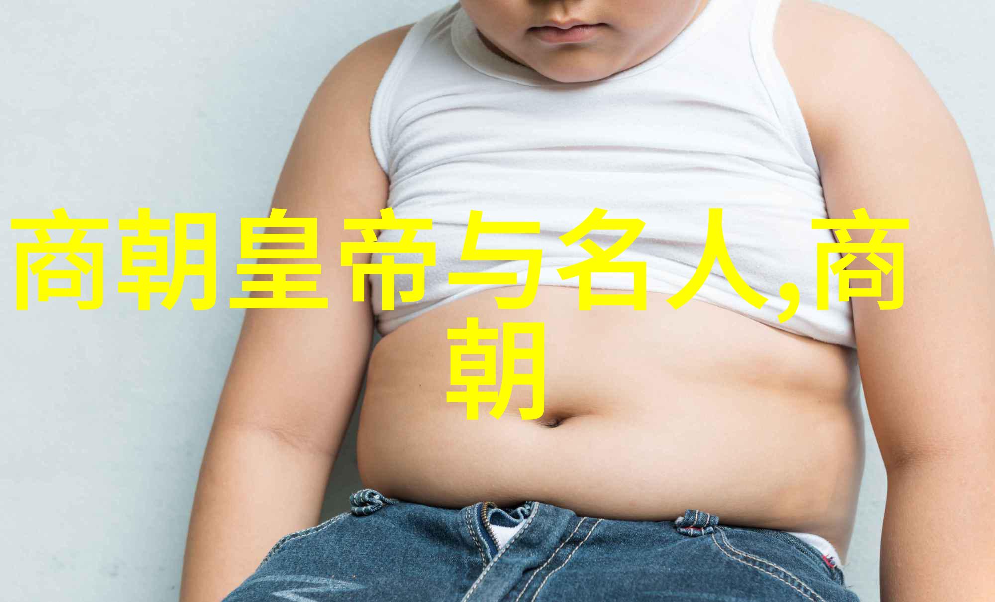 明朝的真相-探寻历史暗影明朝是否真的黑暗