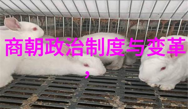 中国民间故事文王即位的自然奇遇二年级寓言故事中探索的隐喻