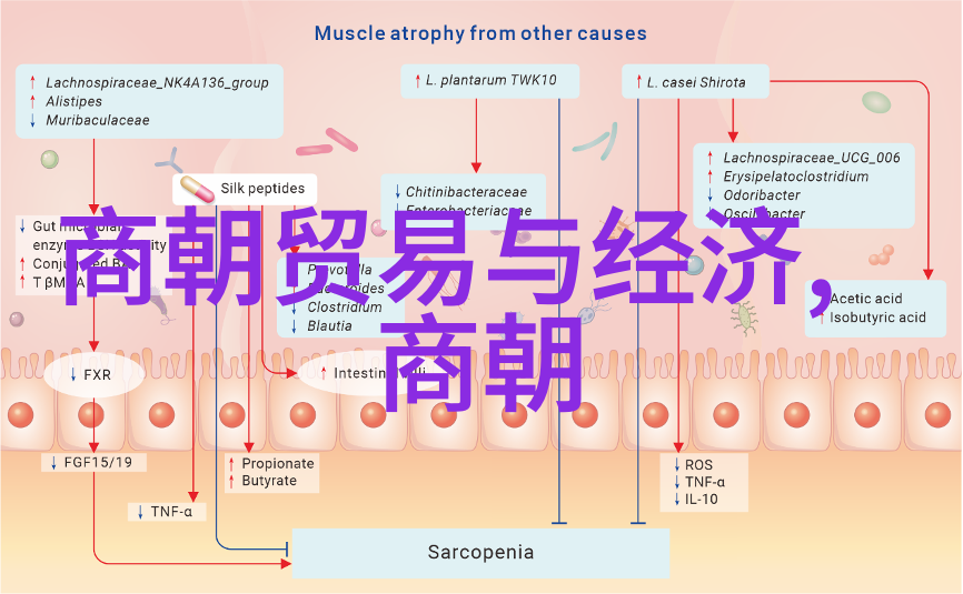 凶案现场直播我亲眼见证了那场血雨腥风
