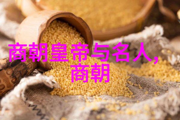 元朝的中国身份探索一代帝王与民族认同
