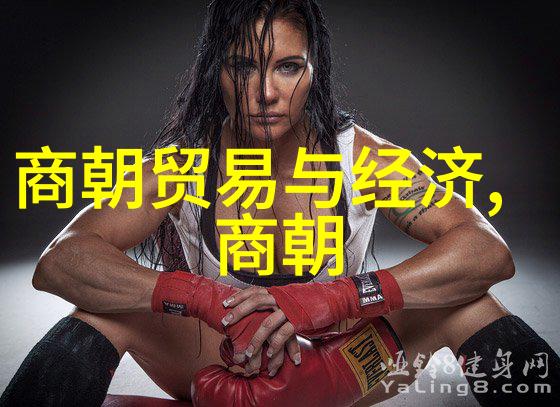 探寻明朝辉煌在历史的长河中哪些著作能让我们更深刻地了解这段璀璨时光