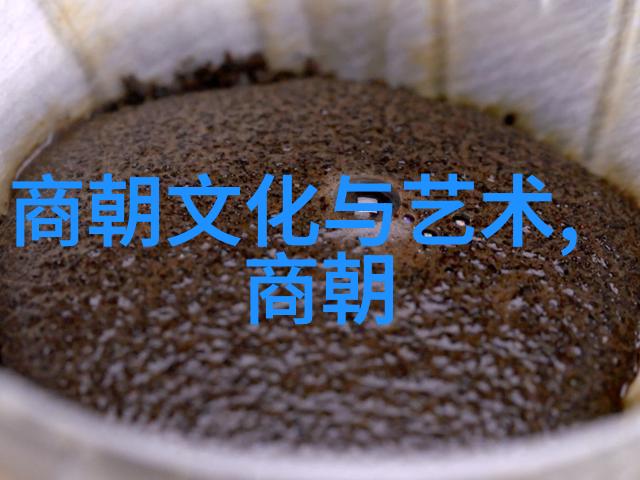 辉煌盛世与沉浮荣辱分析不同王朝的成就和遗憾
