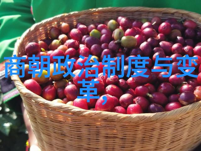 探索古今奇缘免费聆听中国历史故事的乐趣