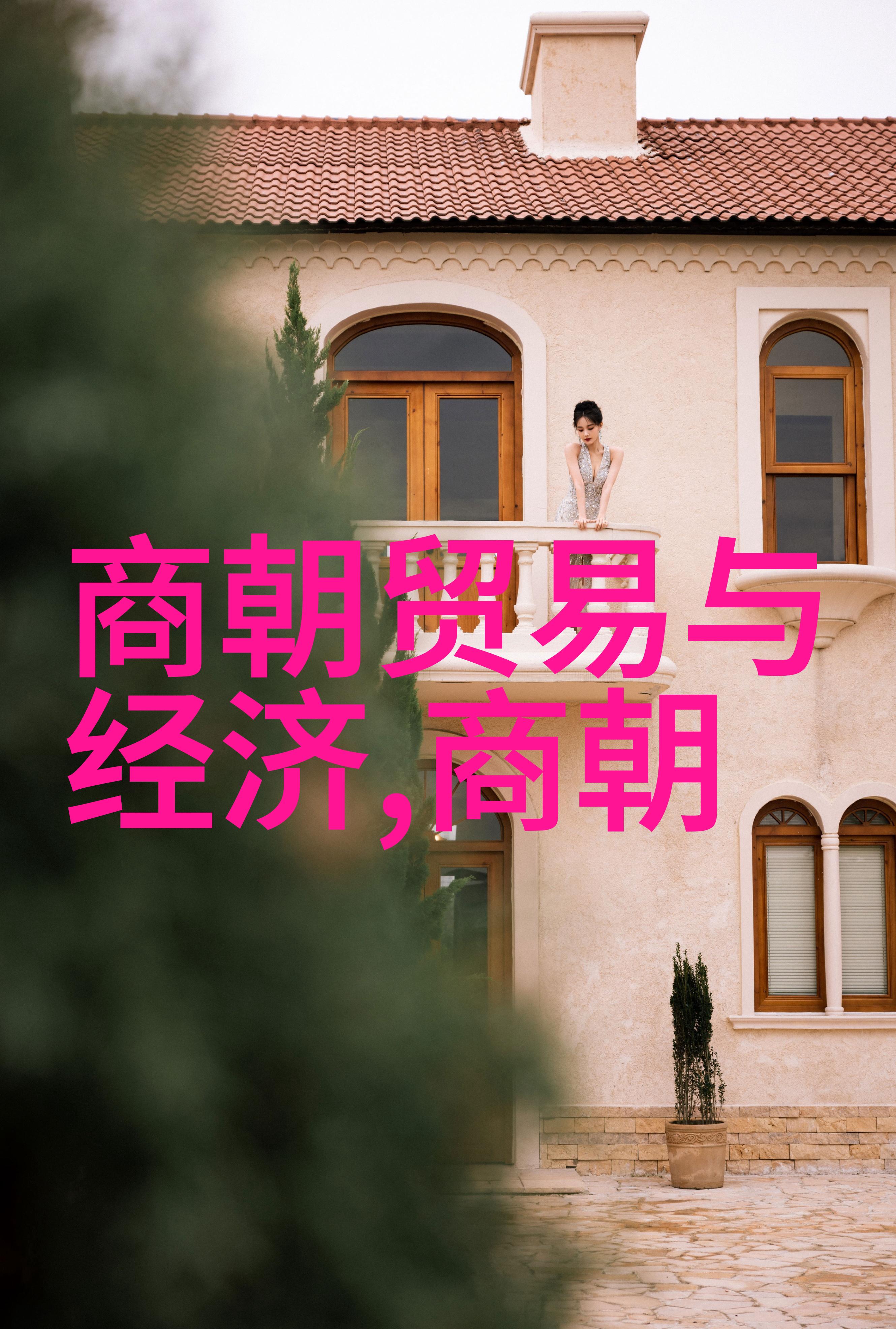 晋朝风云中华武术传承秘笈