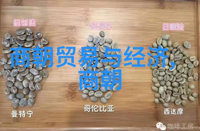 明朝历史探秘时光纷飞谜题解锁