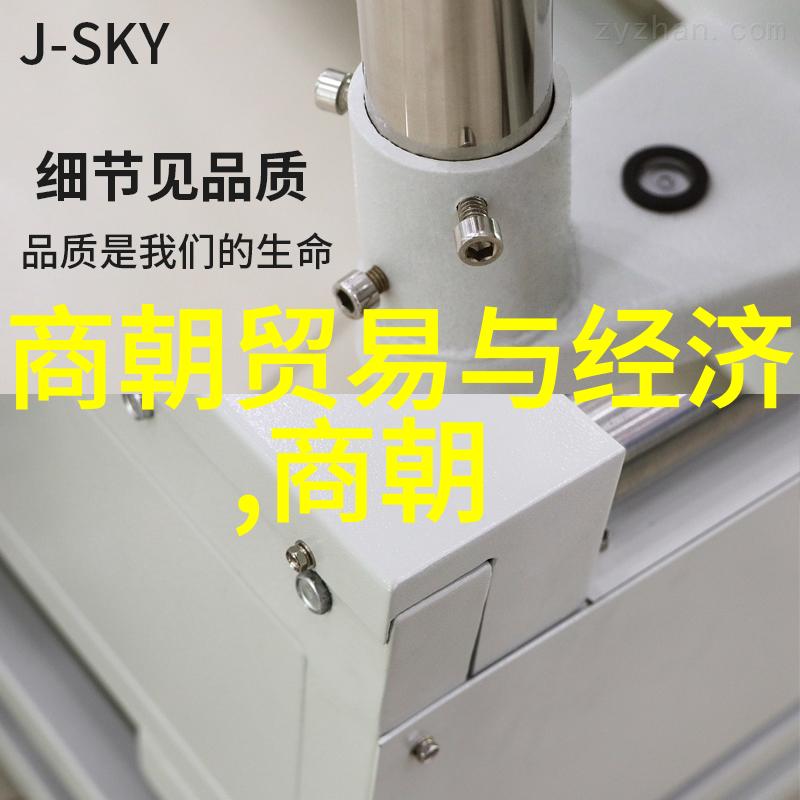 大清朝的盛世与衰落中国历史上的明暗两面