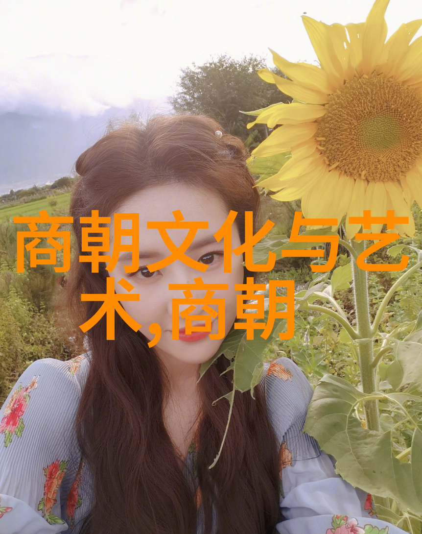 从夏至清探索中国五千年来每个朝代的独特文化符号