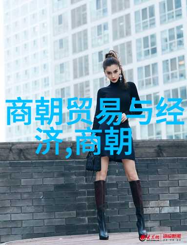 明朝历史视频播放方法 - 探索明朝辉煌详解如何观看丰富的历史视频
