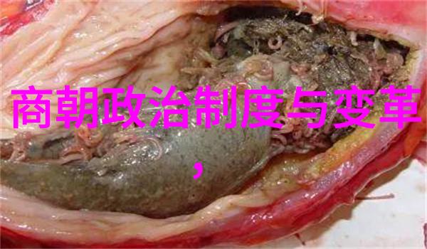 河南豫剧唱段精选朱巧云豫剧旦角与朱巧云豫剧旦行演员的对偶之美