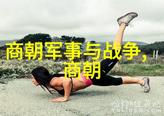 明代历史简介一览中国盛世的辉煌与变迁
