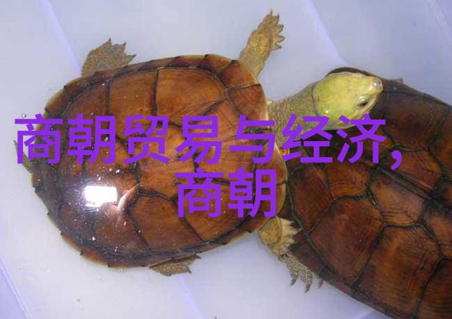 主题我是如何发现明朝垃圾和清朝垃圾的区别的