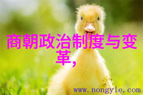 中国唯一一个千年王朝我国的那段历史从起点到永恒