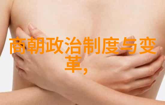 中国历史认知元朝的诞生与官方态度