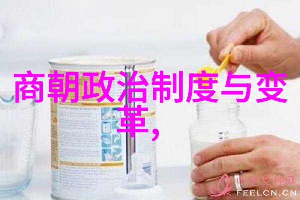 明朝的风云变幻与后继者的追寻