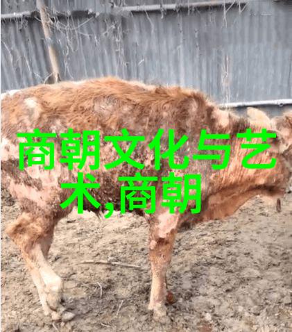 明朝的末日时间悄悄倒流帝国沉沦之谜