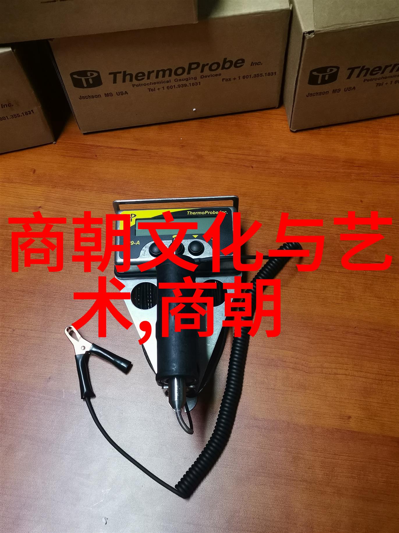 明朝继位之谜朱厚熜的沉默王权