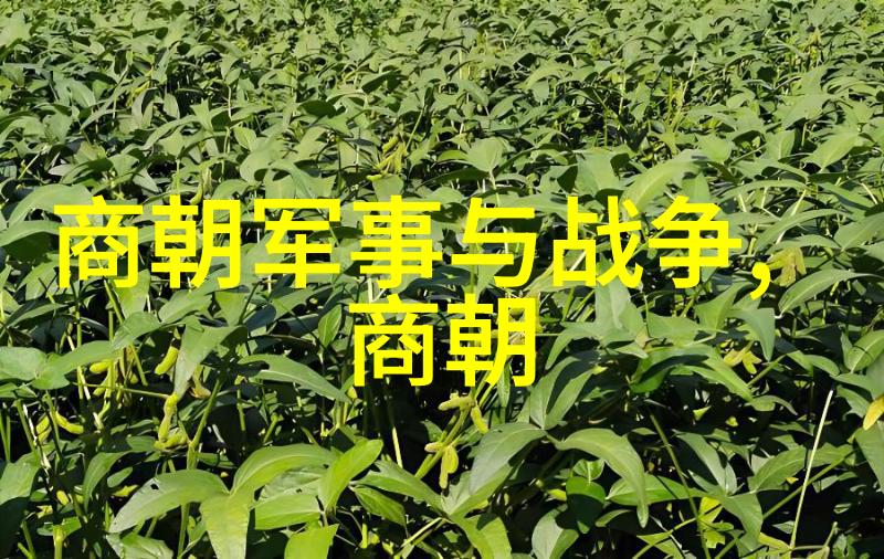 明朝军事力量兵制改革与边疆扩张