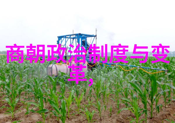明朝最好的帝王之争朱元璋与朱允炆的比较研究