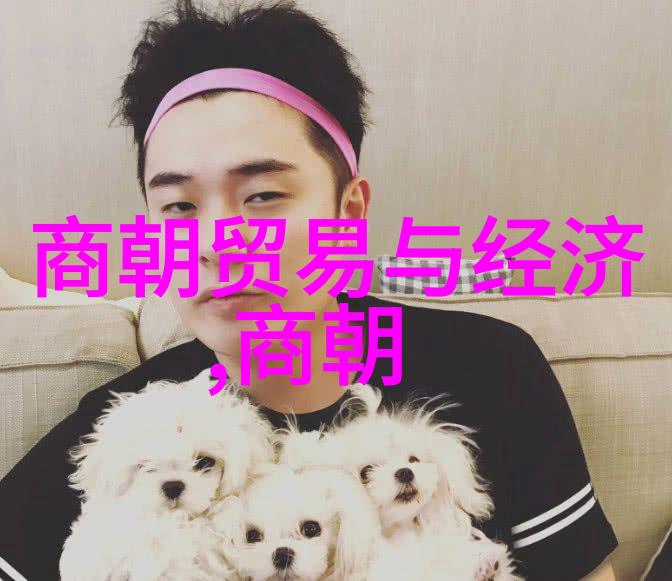 元朝完了是哪个朝代我问史书明朝怎么就来啦