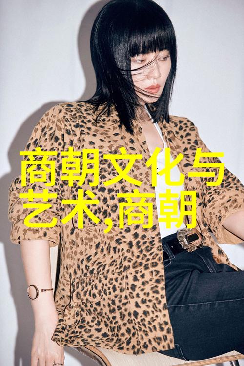 元朝的辉煌探索元朝是中国这一历史事实背后的文化与政治