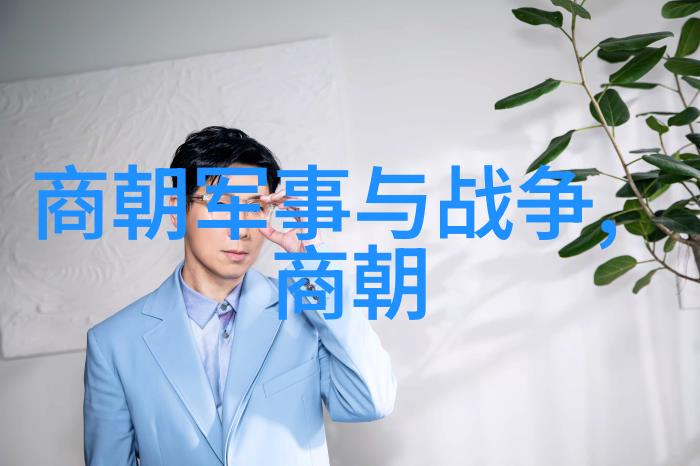 中国大明历史我国古代的辉煌与风华从朱元璋到万历帝的盛世篇章