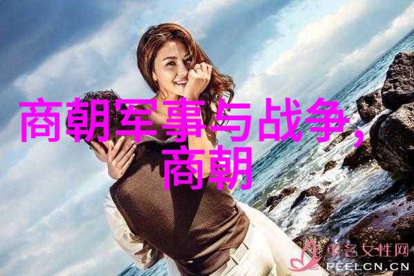 清朝的兴衰从满清入关到鸦片战争