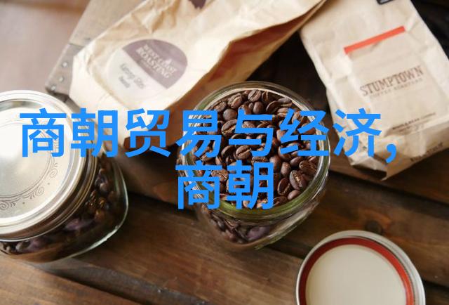 帝影纷飞明清盛世皇权的华丽倒影