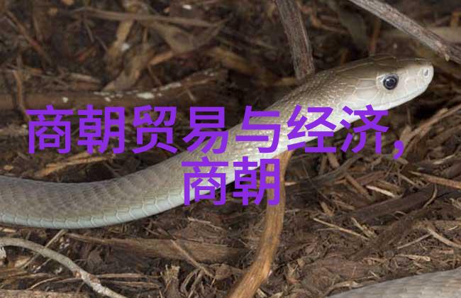 南宋名将孟珙尝后图真迹全图木香我亲眼见证的孟珙尝后图真迹惊现木香奇遇