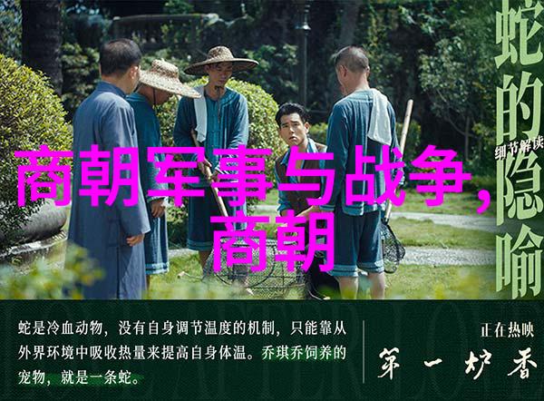 土木堡之战细节历史中的迷雾与血腥对决