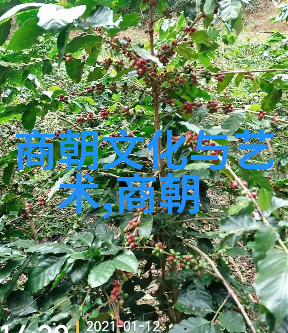 我来讲述明朝那些事儿红衣将军与万历四宫之争